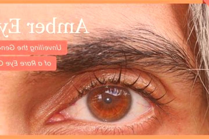 Avery, 27, a red amber-eyed mediterranean companion based in Fateh Pur Beri. Offering Fetish, Prostate Massage, Girlfriend Experience, Overnight, 69. Availab...
