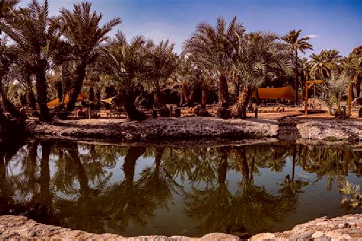 Avery, 27 — Escort in Al Qatif, Saudi Arabia
