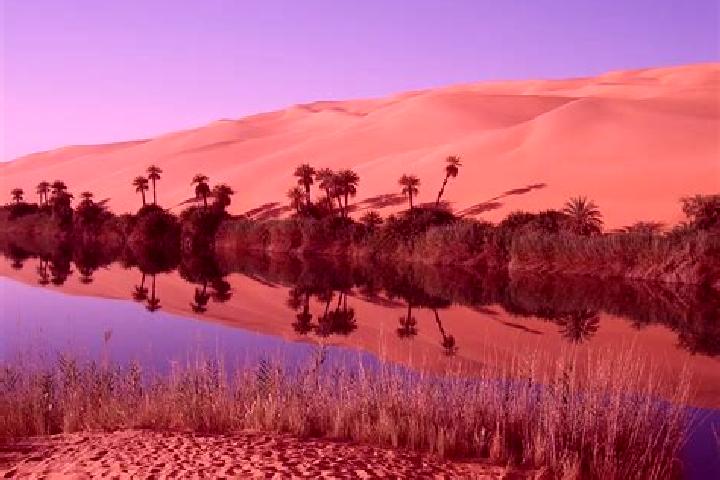 Avery, 27 — Escort in Bani Walid, Libya