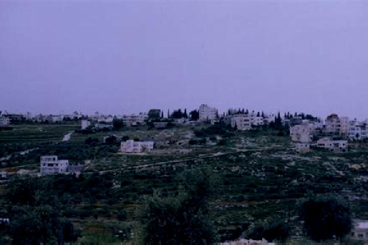 Avery, 27 — Escort in Saffa, Palestine