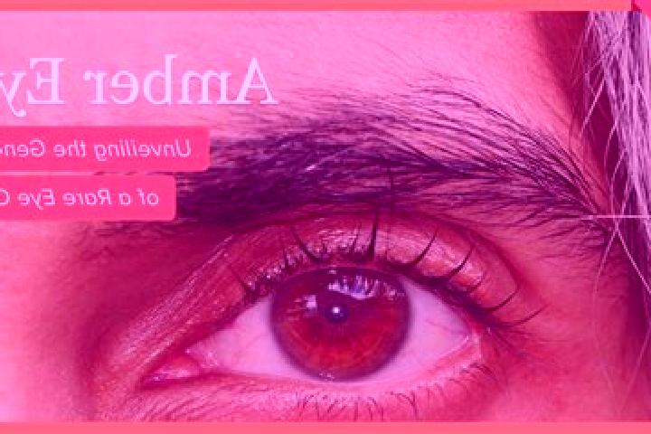 Avery, 28, a black amber-eyed middle eastern companion based in Truman. Offering OWO, BDSM, Couples. Available for incall and outcall, overnight bookings ava...