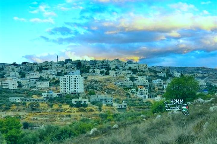 Avery, 28 — Escort in Husan, Palestine