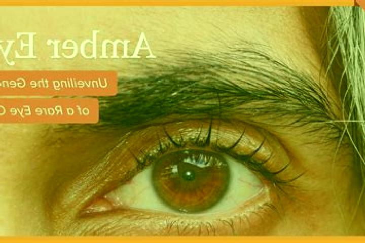Avery, 29, a black amber-eyed indian companion based in Carpignano Sesia. Offering Overnight, Deep French Kissing, Fetish. Available for incall and outcall, ...