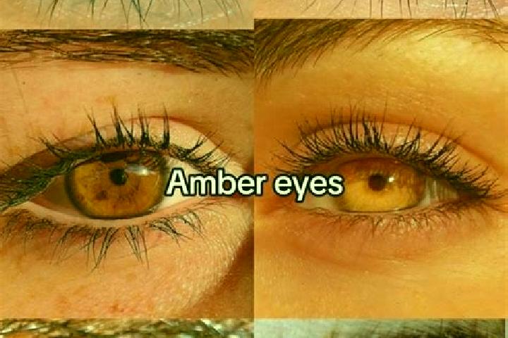 Avery, 29, a chestnut amber-eyed european companion based in Adur. Offering A-Level, Fetish. Available for incall and outcall, day and evening dates.