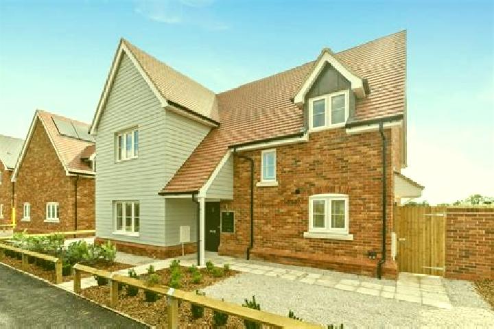 Avery, 29 — Escort in Little Dunmow, United Kingdom