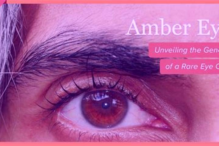 Avery, 30, a black amber-eyed ebony companion based in Sun City. Offering Striptease, CIM. Available for incall and outcall, overnight bookings available.