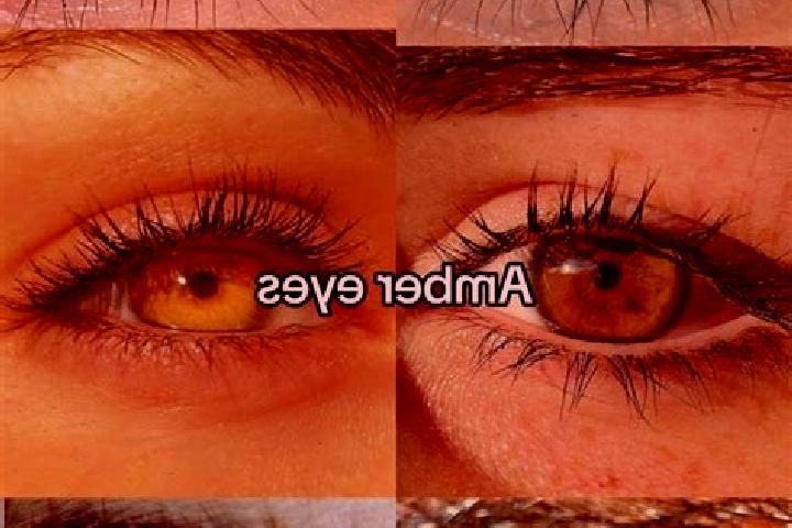 Avery, 31, a brunette amber-eyed slavic companion based in Nor Khachakap. Offering BDSM, Couples. Available for incall and outcall, day and evening dates.