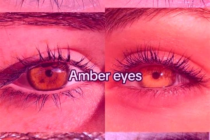 Avery, 31, a brunette amber-eyed slavic companion based in Redland. Offering Roleplay, Travel Companion, Couples, Overnight, Fetish. Available for incall and...
