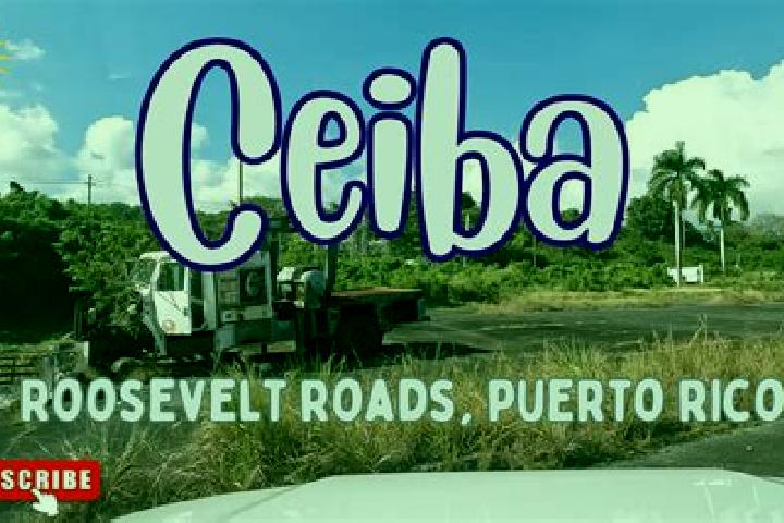 Avery, 32 — Escort in Ceiba, Puerto Rico