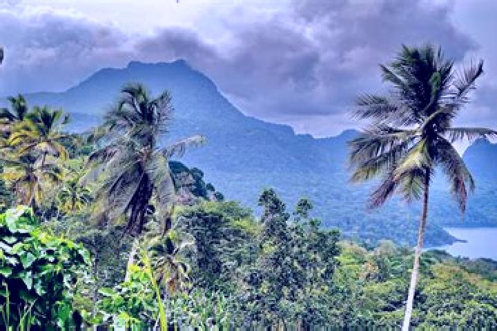 Avery, 32 — Escort in Torres Dias, Sao Tome and Principe