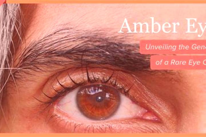 Avery, 33, a black amber-eyed caucasian companion based in Nawapara. Offering Erotic Massage, Domination, Deep French Kissing, GFE, Tantra. Available for inc...