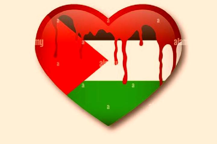 Avery, 33 — Escort in Al Buwayrah, Palestine