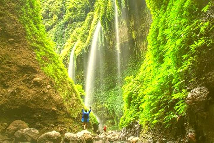 Avery, 35 — Escort in Lekong, Indonesia
