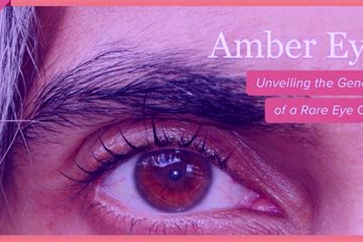 Avery, 36, a red amber-eyed mixed companion based in Gachancipa. Offering Party Girl, GFE, Domination, Fetish. Available for incall and outcall, day and even...