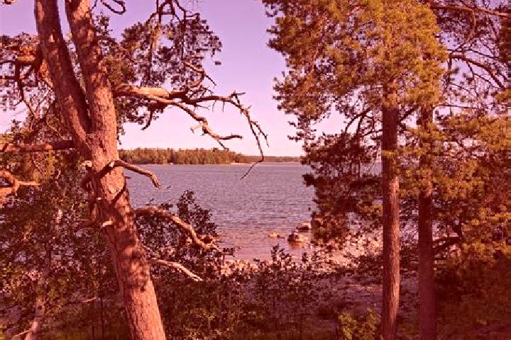 Avery, 36 — Escort in Hakuninmaa, Finland