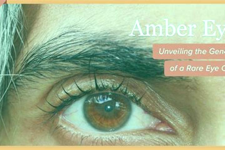 Avery, 37, a black amber-eyed mixed companion based in Uzunkoeprue. Offering Striptease, A-Level, Tantra. Available for incall and outcall, day and evening d...
