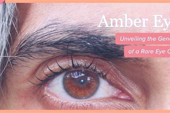 Avery, 37, a red amber-eyed european companion based in Staskov. Offering Travel Companion, BDSM. Available for incall and outcall, day and evening dates.
