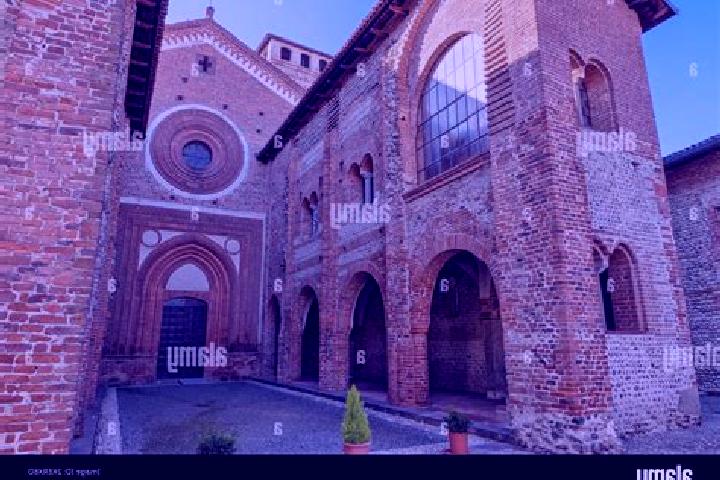 Avery, 37 — Escort in San Nazzaro Val Cavargna, Italy