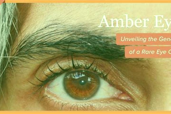 Avery, 38, a black amber-eyed indian companion based in Freixo de Numao. Offering Tantra, 69, Girlfriend Experience, Prostate Massage. Available for incall a...