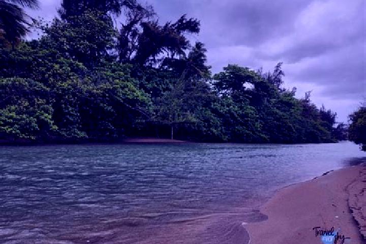 Avery, 39 — Escort in Palo Seco, Puerto Rico
