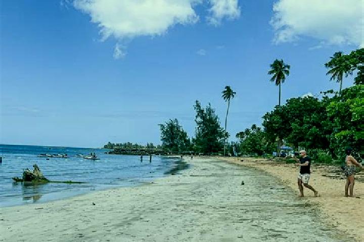 Avery, 39 — Escort in Playa Fortuna, Puerto Rico