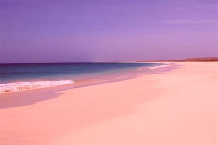Avery, 39 — Escort in Sao Joao, Cape Verde