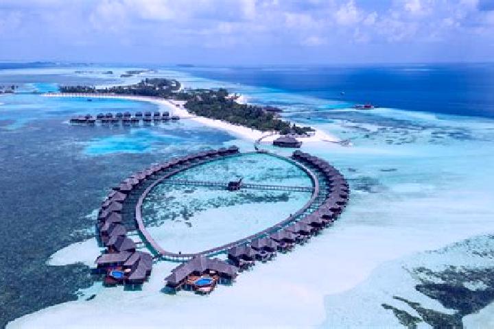 Browse escort listings across 1 pages of cities in Maldives. Local companions, services and rates. Page 1 of 1.