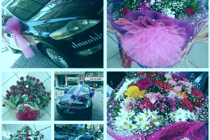 Chloe, 20 — Escort in Alibeyli, Turkey