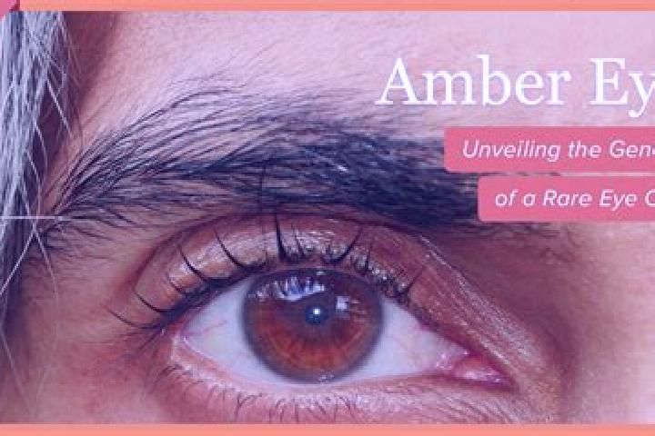 Chloe, 23, a red amber-eyed latina companion based in Ar Rujban. Offering Dinner Date, Prostate Massage, GFE. Available for incall and outcall, day and eveni...