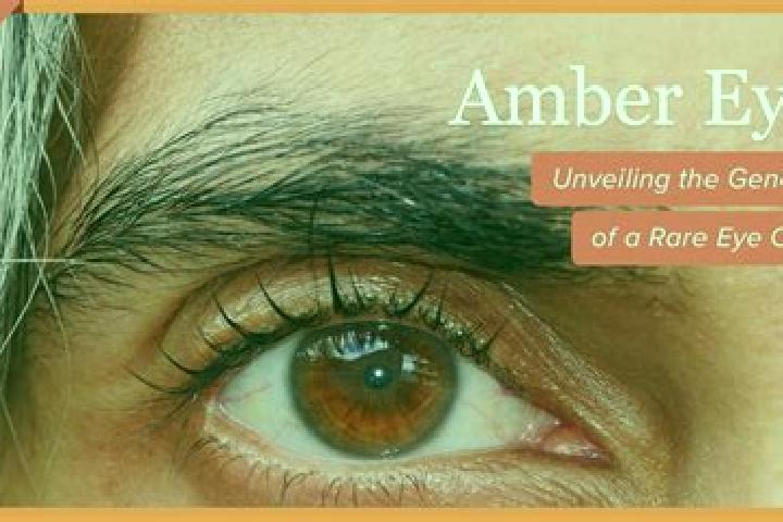 Chloe, 23, a red amber-eyed mixed companion based in Staraya Toropa. Offering Domination, Striptease. Available for incall and outcall, overnight bookings av...