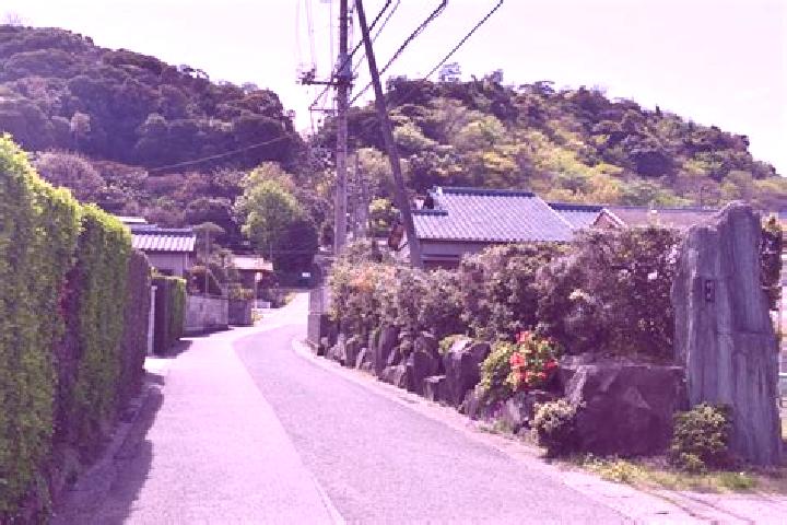 Chloe, 23 — Escort in Kimitsu, Japan