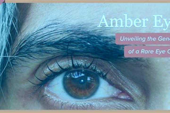 Chloe, 24, a black amber-eyed caucasian companion based in Behlana. Offering Fetish, GFE, Prostate Massage, CIM. Available for incall and outcall, day and ev...