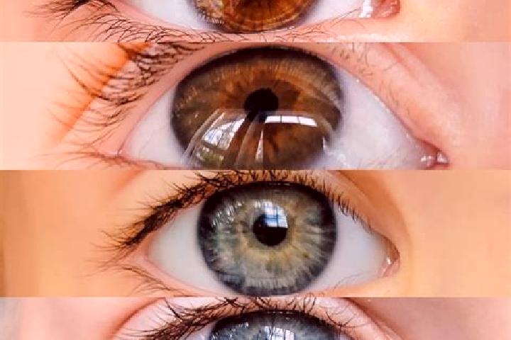 Chloe, 25, a chestnut hazel-eyed caucasian companion based in El Verano. Offering Couples, OWO, Prostate Massage, GFE. Available for incall and outcall, day ...
