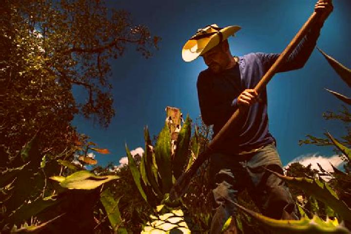 Chloe, 26 — Escort in Etucuaro, Mexico