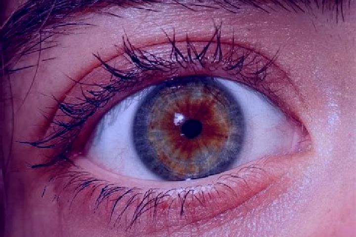 Chloe, 27, a red hazel-eyed mediterranean companion based in Saxon. Offering 69, Party Girl, Domination, A-Level. Available for incall and outcall, overnight...