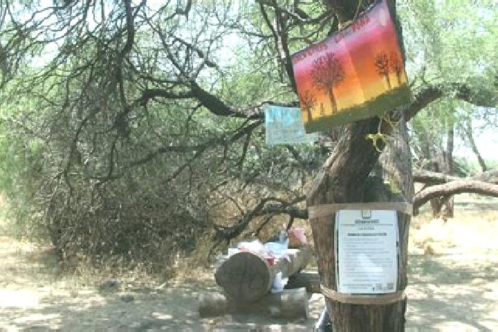 Chloe, 27 — Escort in La Mezquitera, Mexico
