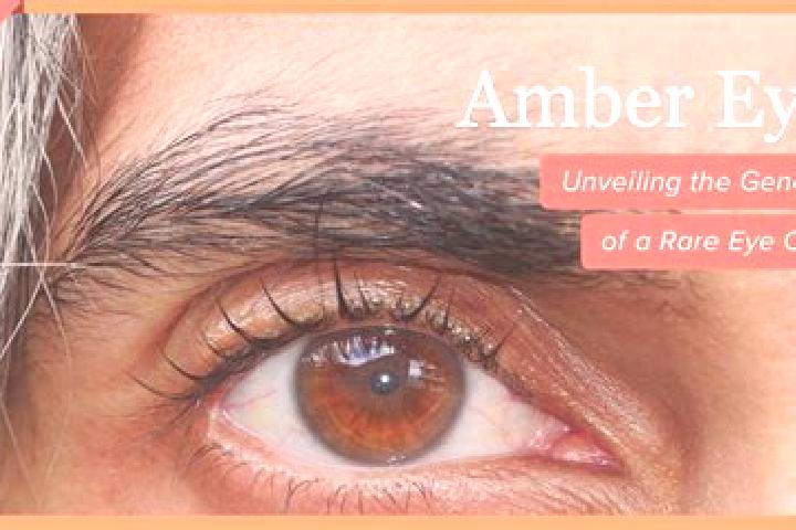 Chloe, 30, a red amber-eyed caribbean companion based in Vecinos. Offering Deep French Kissing, GFE. Available for incall and outcall, overnight bookings ava...