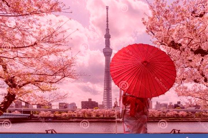 Chloe, 35 — Escort in Sumida, Japan