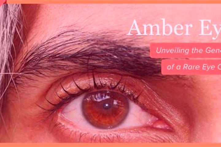 Chloe, 37, a red amber-eyed slavic companion based in Macedonia. Offering Overnight, Couples, GFE. Available for incall and outcall, day and evening dates.