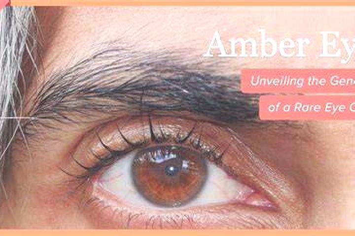 Chloe, 37, a red amber-eyed slavic companion based in Pobuzke. Offering GFE, Tantra, Couples. Available for incall and outcall, day and evening dates.