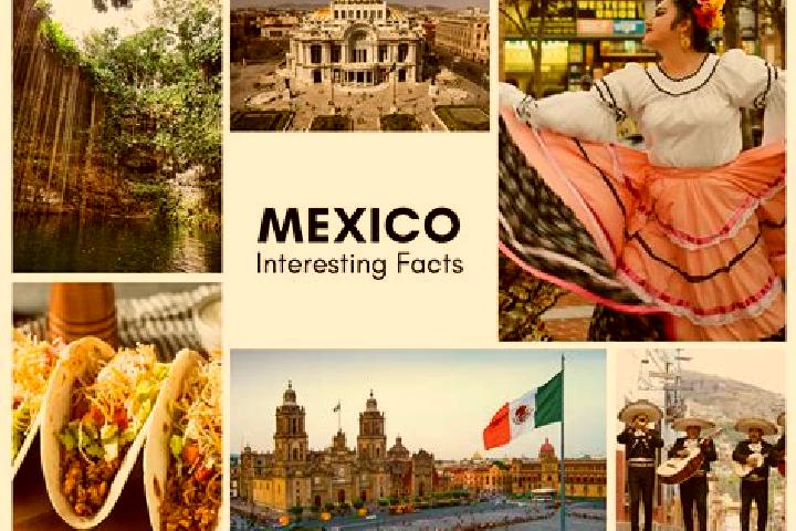Chloe, 37 — Escort in La Roca, Mexico
