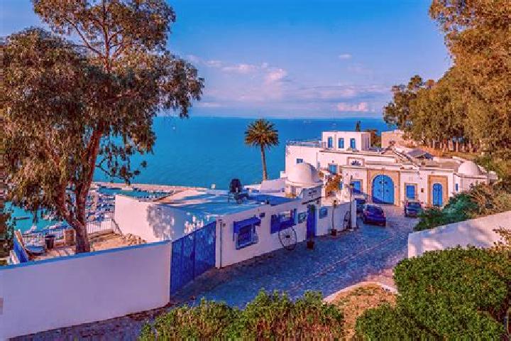 Chloe, 37 — Escort in Sidi Amor Bou Hajela, Tunisia