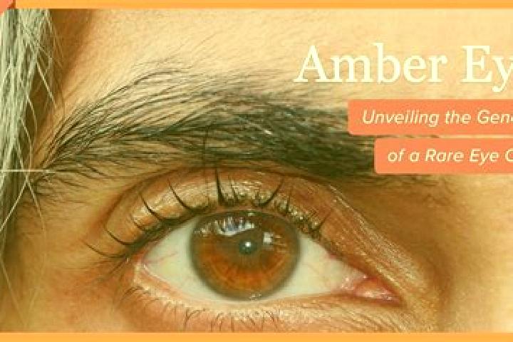 Chloe, 39, a red amber-eyed middle eastern companion based in Cappelle. Offering Fetish, Massage, BDSM, Striptease, OWO. Available for incall and outcall, da...