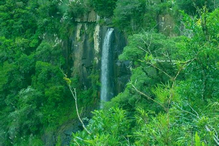 Clara, 20 — Escort in Bocaina do Sul, Brazil