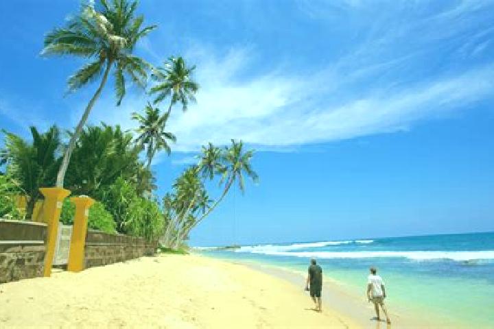 Clara, 23 — Escort in Battaramulla South, Sri Lanka