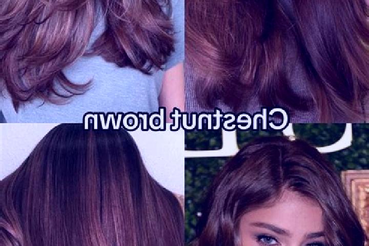 Clara, 26, a chestnut dark-eyed mixed companion based in Puchuncavi. Offering A-Level, Travel Companion, CIM, Domination. Available for incall and outcall, d...