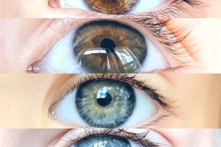 Clara, 27, a chestnut green-eyed middle eastern companion based in Matfors. Offering 69, Prostate Massage, OWO, CIM. Available for incall and outcall, day an...