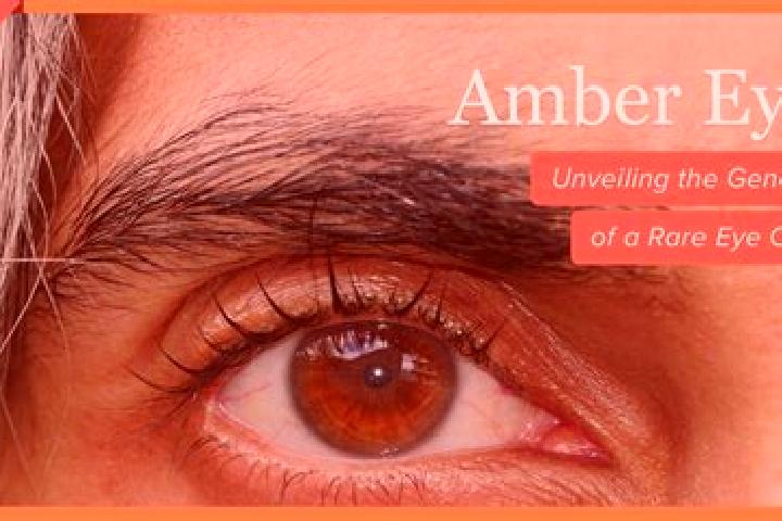 Clara, 27, a red amber-eyed european companion based in Serrouville. Offering Fetish, OWO, CIM. Available for incall and outcall, overnight bookings available.