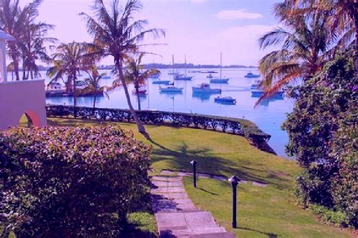 Clara, 27 — Escort in Hamilton Parish, Bermuda