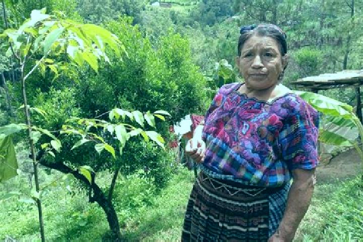 Clara, 32 — Escort in Santa Maria Chiquimula, Guatemala